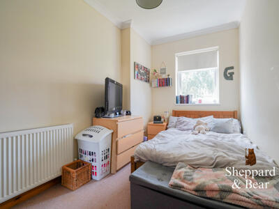 Picture 11